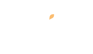 WIX